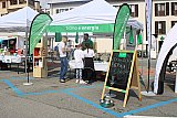 Giornata dell'ambiente - Collina d'Oro